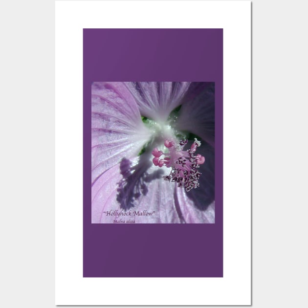 Hollyhock - Super Macro Wall Art by AlienVisitor